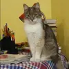 Отзыв от Анжела Кулагина